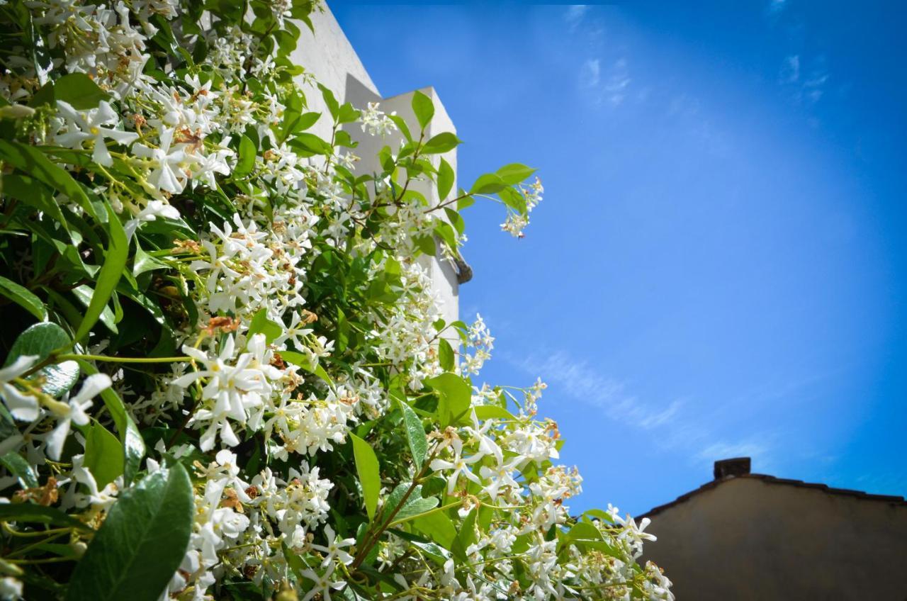 Luxury Apartment Pantheon Rome Exterior photo